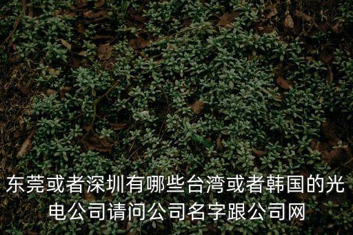 東莞或者深圳有哪些臺灣或者韓國的光電公司請問公司名字跟公司網