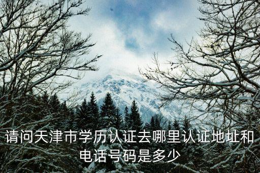 天津市認(rèn)證大廳，想知道 天津市 天津?qū)W歷認(rèn)證中心 在哪 說(shuō)是搬到華苑了 希望能夠找到