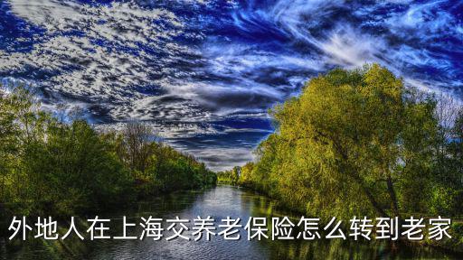 外地人在上海交養(yǎng)老保險怎么轉(zhuǎn)到老家
