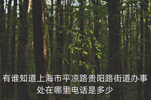 有誰知道上海市平涼路貴陽路街道辦事處在哪里電話是多少