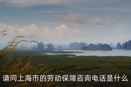 上海市社保中心咨詢電話，請問上海市的勞動保障咨詢電話是什么