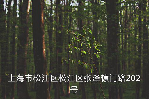 上海市松江區(qū)松江區(qū)張澤轅門路202號