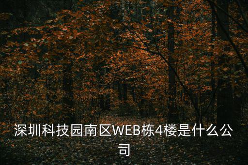 深圳科技園南區WEB棟4樓是什么公司