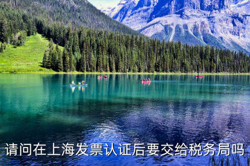 上海市稅務局龐為，公司在上海收到的發票是失控發票抵扣后稅務局應該怎樣處理  搜