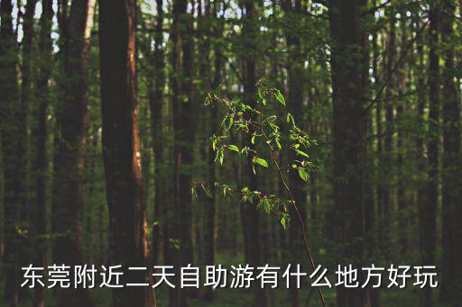 東莞附近二天自助游有什么地方好玩