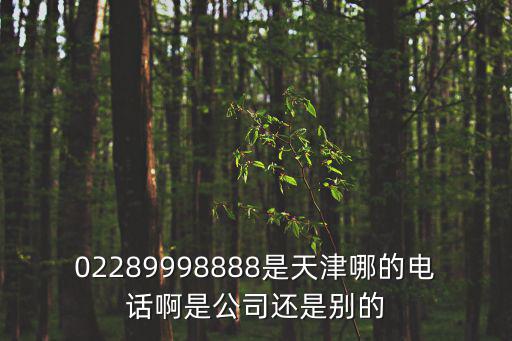 02289998888是天津哪的電話啊是公司還是別的