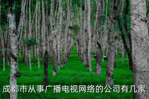 成都市從事廣播電視網絡的公司有幾家