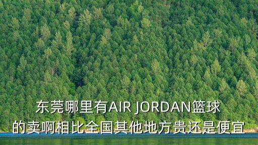 東莞哪里有AIR JORDAN籃球的賣啊相比全國(guó)其他地方貴還是便宜