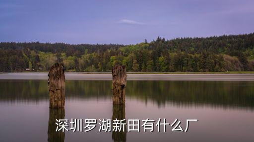 深圳羅湖新田有什么廠