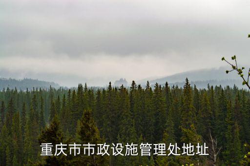 重慶市市政設施管理處地址