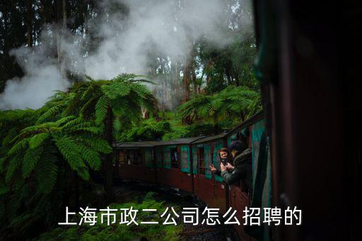 上海市政院天津分院招聘，上海市政二公司怎么招聘的