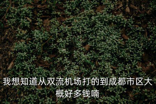 我想知道從雙流機場打的到成都市區大概好多錢喃