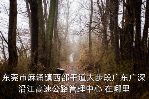東莞市麻涌鎮西部干道大步段廣東廣深沿江高速公路管理中心 在哪里