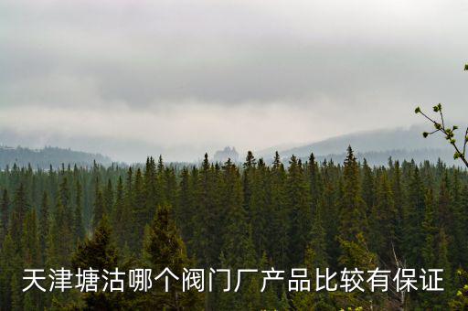 天津塘沽哪個閥門廠產品比較有保證