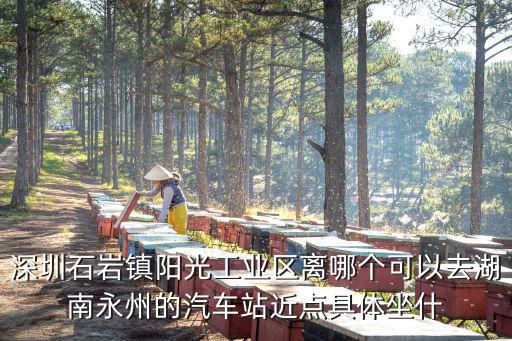 深圳石巖鎮陽光工業區離哪個可以去湖南永州的汽車站近點具體坐什