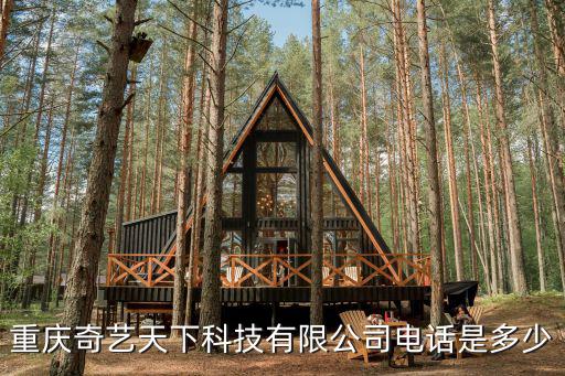 重慶市愛奇藝公司地址，愛奇藝總部在哪個城市