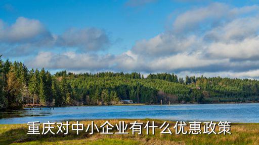 重慶對(duì)中小企業(yè)有什么優(yōu)惠政策