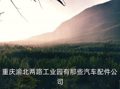 重慶市艾莫特汽車部件有限，上海埃弛汽車零部件有限公司重慶分公司地址