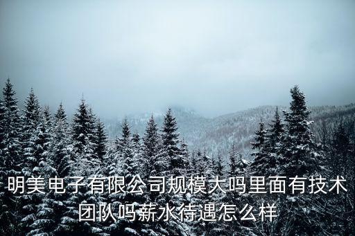 明美電子有限公司規(guī)模大嗎里面有技術團隊嗎薪水待遇怎么樣