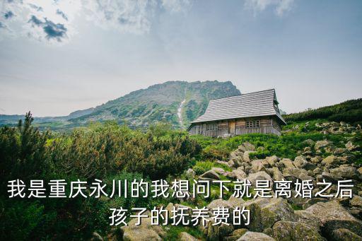 我是重慶永川的我想問下就是離婚之后孩子的撫養(yǎng)費(fèi)的