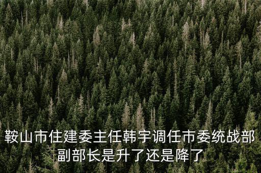 鞍山市住建委主任韓宇調任市委統戰部副部長是升了還是降了