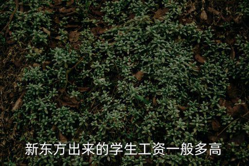 新東方出來的學(xué)生工資一般多高