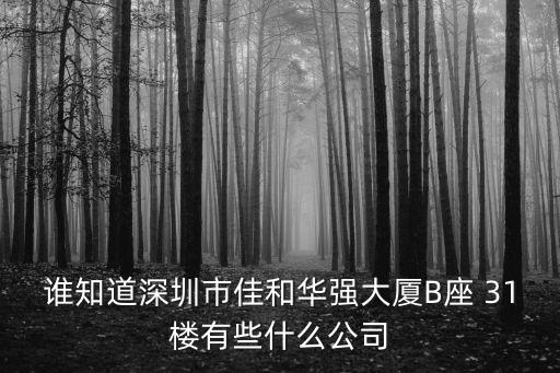 誰知道深圳市佳和華強(qiáng)大廈B座 31樓有些什么公司