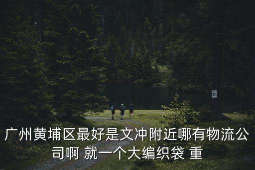 廣州黃埔區最好是文沖附近哪有物流公司啊 就一個大編織袋 重