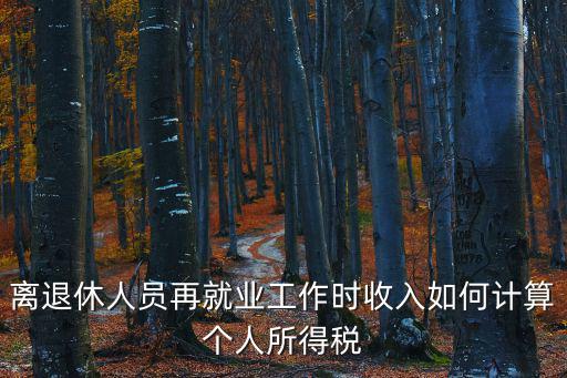 離退休人員再就業(yè)工作時收入如何計(jì)算個人所得稅