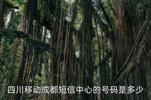 四川移動(dòng)成都短信中心的號(hào)碼是多少