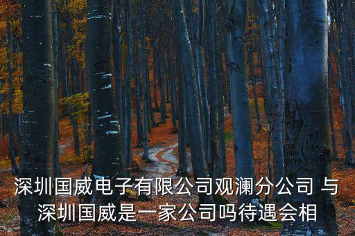 深圳國威電子有限公司觀瀾分公司 與深圳國威是一家公司嗎待遇會相