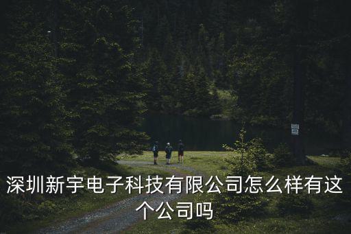 深圳新宇電子科技有限公司怎么樣有這個公司嗎