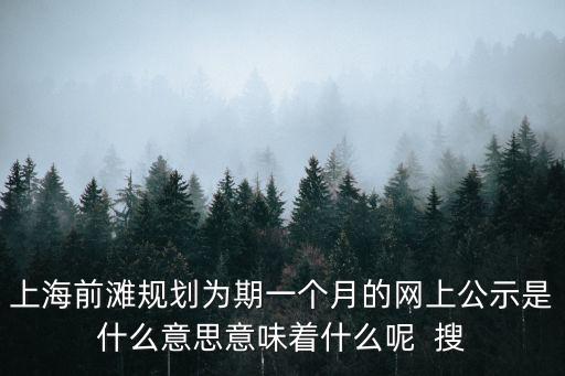 上海前灘規劃為期一個月的網上公示是什么意思意味著什么呢  搜