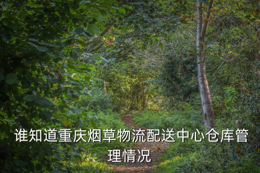 重慶市數字化管理案件分類，重慶市 數字化執法中心的工作人員有機會轉正沒