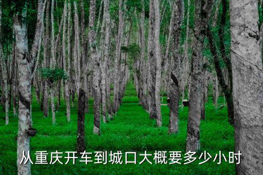 從重慶開車到城口大概要多少小時