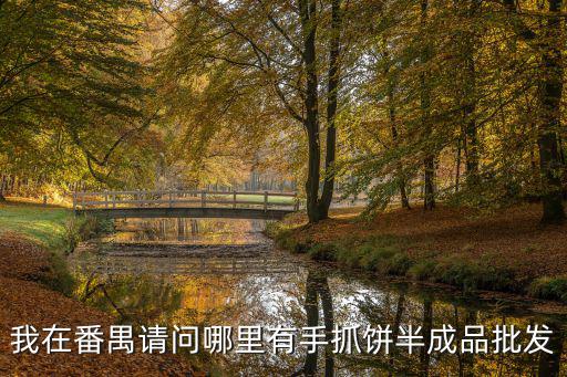 我在番禺請(qǐng)問哪里有手抓餅半成品批發(fā)
