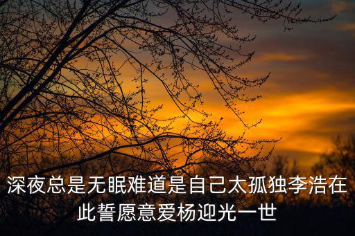 深夜總是無眠難道是自己太孤獨李浩在此誓愿意愛楊迎光一世