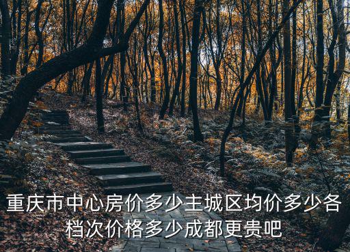 重慶市中央巡視回頭看反饋問(wèn)題，巡視巡查回頭看重點(diǎn)是整治什么問(wèn)題