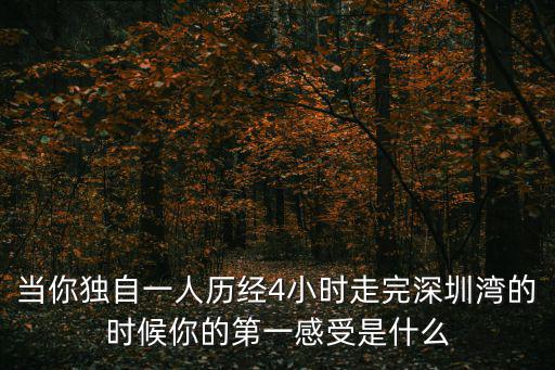 當(dāng)你獨(dú)自一人歷經(jīng)4小時(shí)走完深圳灣的時(shí)候你的第一感受是什么
