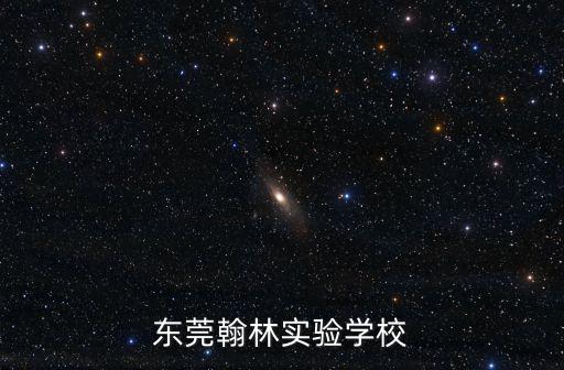 東莞楷模管理學院，東莞翰林實驗學校