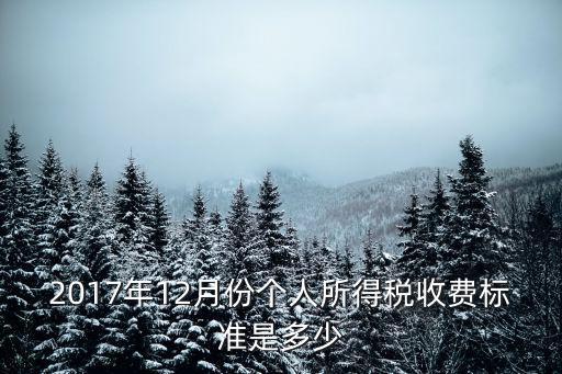 2017年12月份個(gè)人所得稅收費(fèi)標(biāo)準(zhǔn)是多少