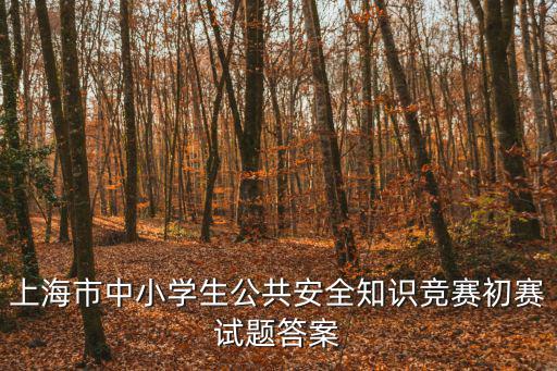 上海市中小公共安全知識(shí)，上海市中小學(xué)生公共安全知識(shí)競(jìng)賽的試卷