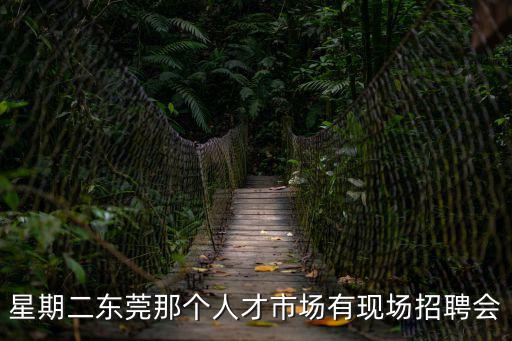 東莞華誠人力資源，東莞華誠電腦在哪兒