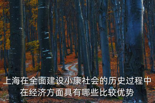上海在全面建設(shè)小康社會(huì)的歷史過程中在經(jīng)濟(jì)方面具有哪些比較優(yōu)勢(shì)