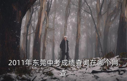 東莞教育網中考查詢系統，東莞中考成績在那個網站可以查詢
