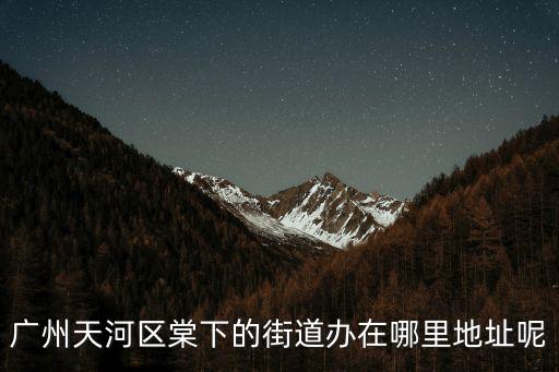 廣州天河區棠下的街道辦在哪里地址呢