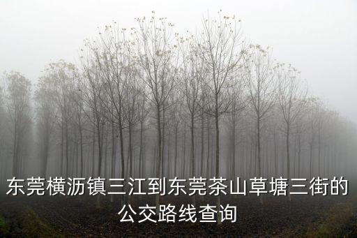 東莞科偉電廠，東莞橫瀝鎮三江到東莞茶山草塘三街的公交路線查詢
