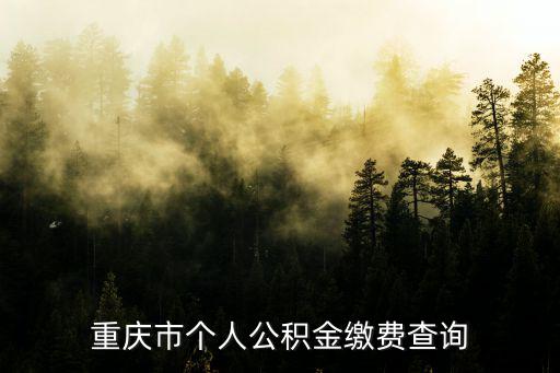 重慶市個(gè)人公積金繳費(fèi)查詢