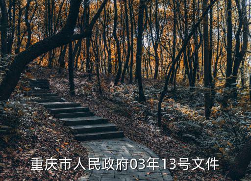 重慶市人民政府03年13號文件