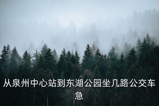從泉州中心站到東湖公園坐幾路公交車(chē)急